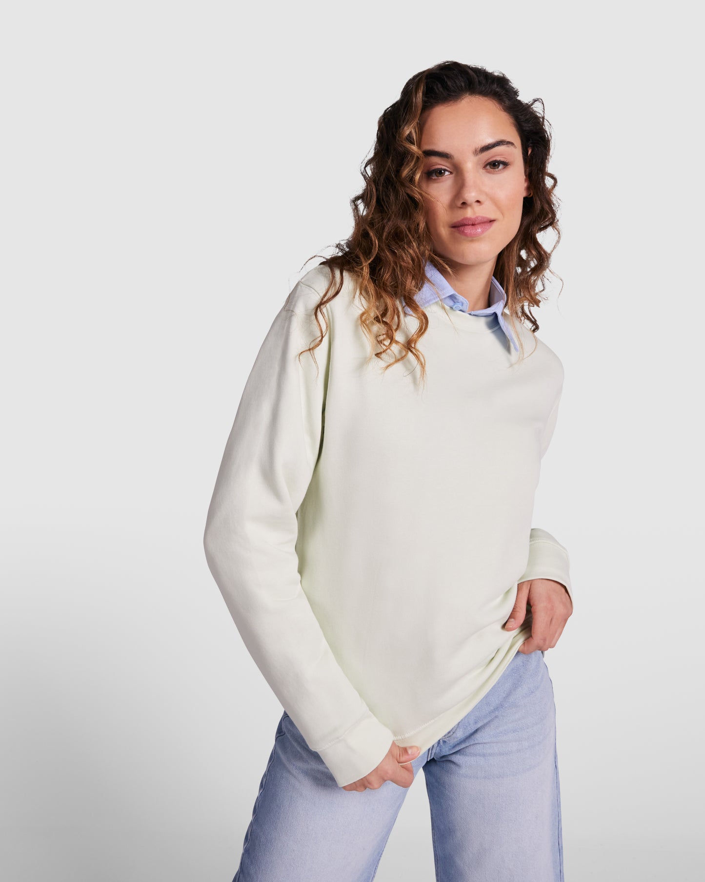 Sudadera Roly Clásica 1070 Unisex