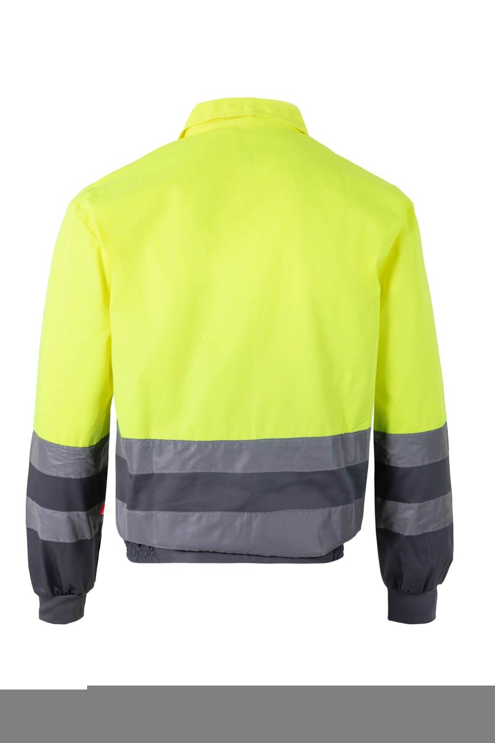 Cazadora bicolor 153